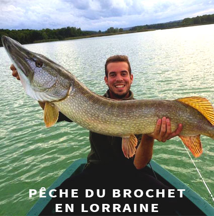 Guide de pêche du brochet en Lorraine